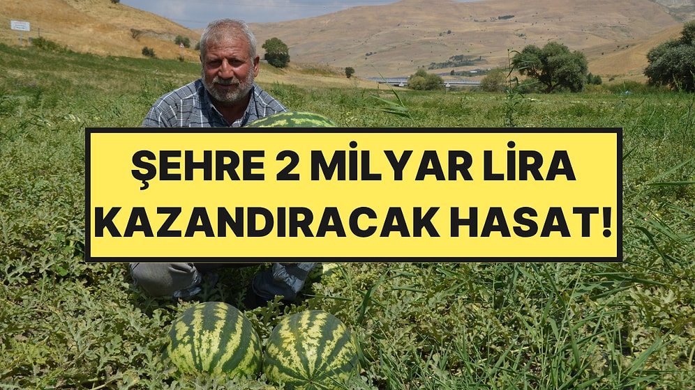 Şehre 2 Milyar Lira Kazandıracak Ürünler Tırlara Yükleniyor: Hasat Başladı