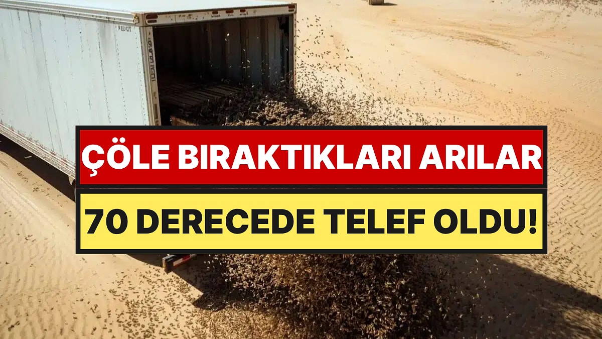 Milyonlarca Arıyı Çöle Bıraktılar, Kovanlar 70 Derecede Eridi: İmdatlarına Basit Çukurlar Yetişti