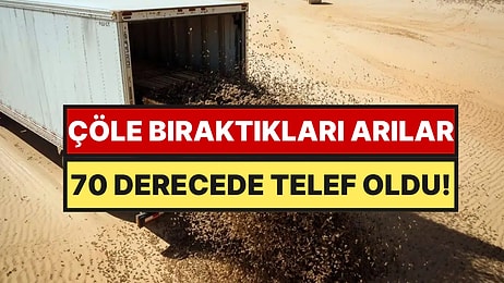 Milyonlarca Arıyı Çöle Bıraktılar, Kovanlar 70 Derecede Eridi: İmdatlarına Basit Çukurlar Yetişti