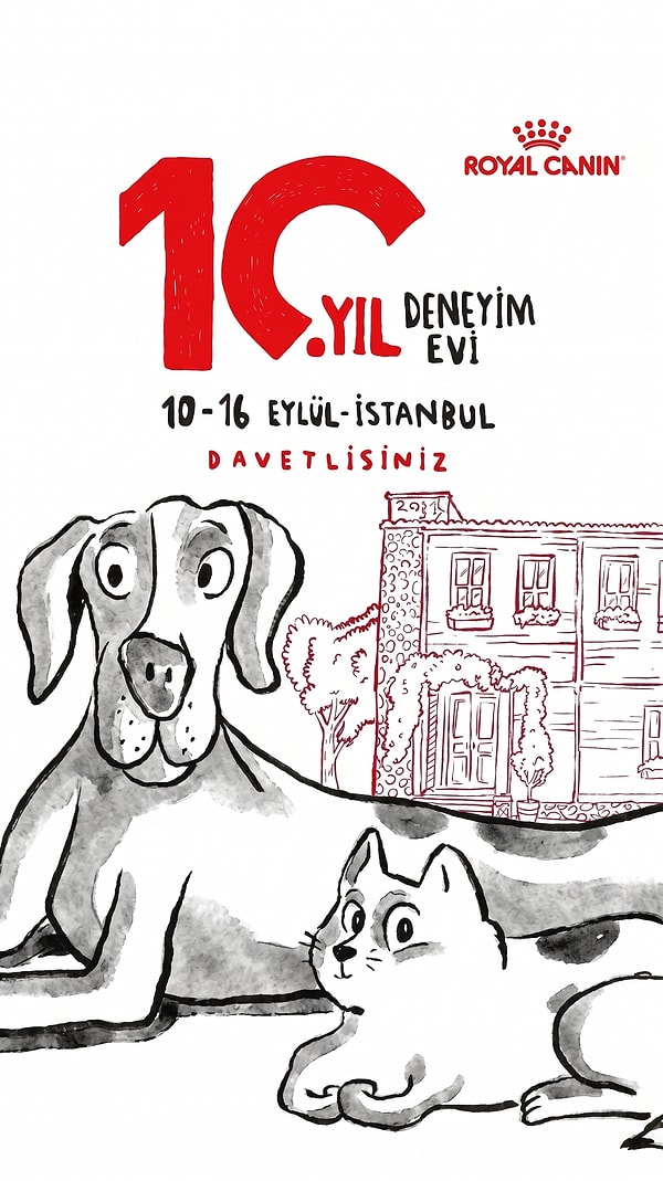 Şimdi bu 10 yıllık yolculuğu yakından keşfetme zamanı!