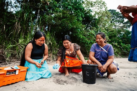 Amazon’s Indigenous Women Track and Save Endangered River Turtles