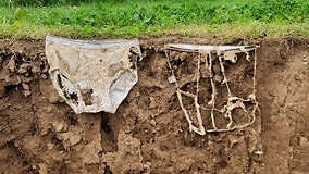 Thousands of Underwear Buried in Soil Reveal an Unexpected Map of Health