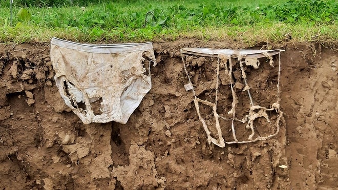 Thousands of Underwear Buried in Soil Reveal an Unexpected Map of Health