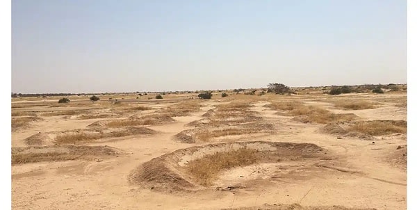 According to data from the United Nations (UN), this simple method increases the water's infiltration into the soil by 70% while halving the erosion.