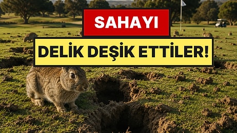 Ünlü Saha Tavşanlar Yüzünden Delik Deşik Oldu: Nüfusu Kontrolden Çıktı