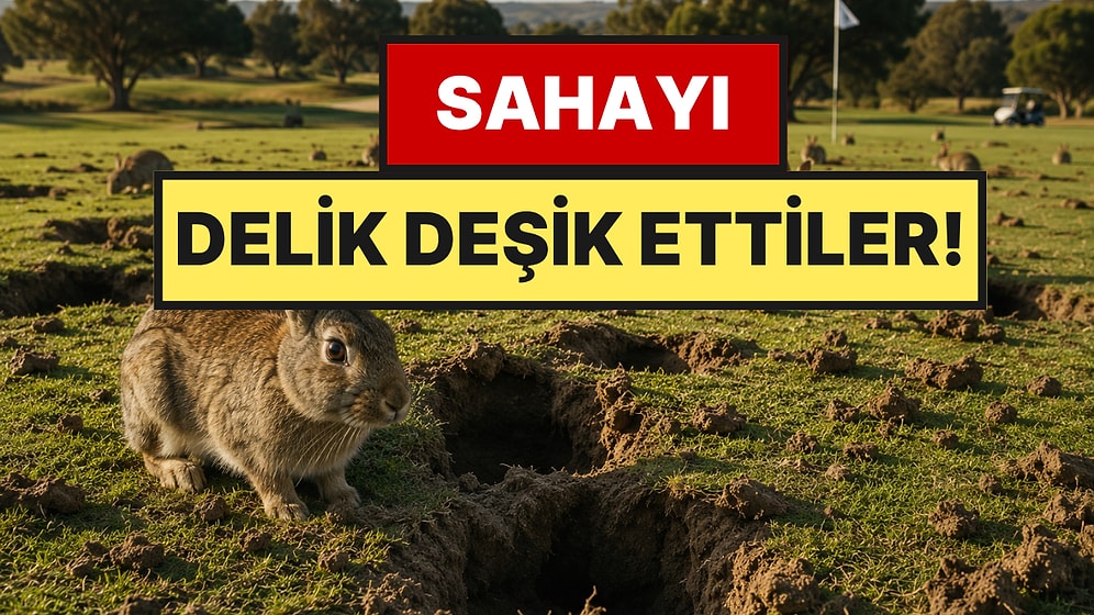 Ünlü Saha Tavşanlar Yüzünden Delik Deşik Oldu: Nüfusu Kontrolden Çıktı