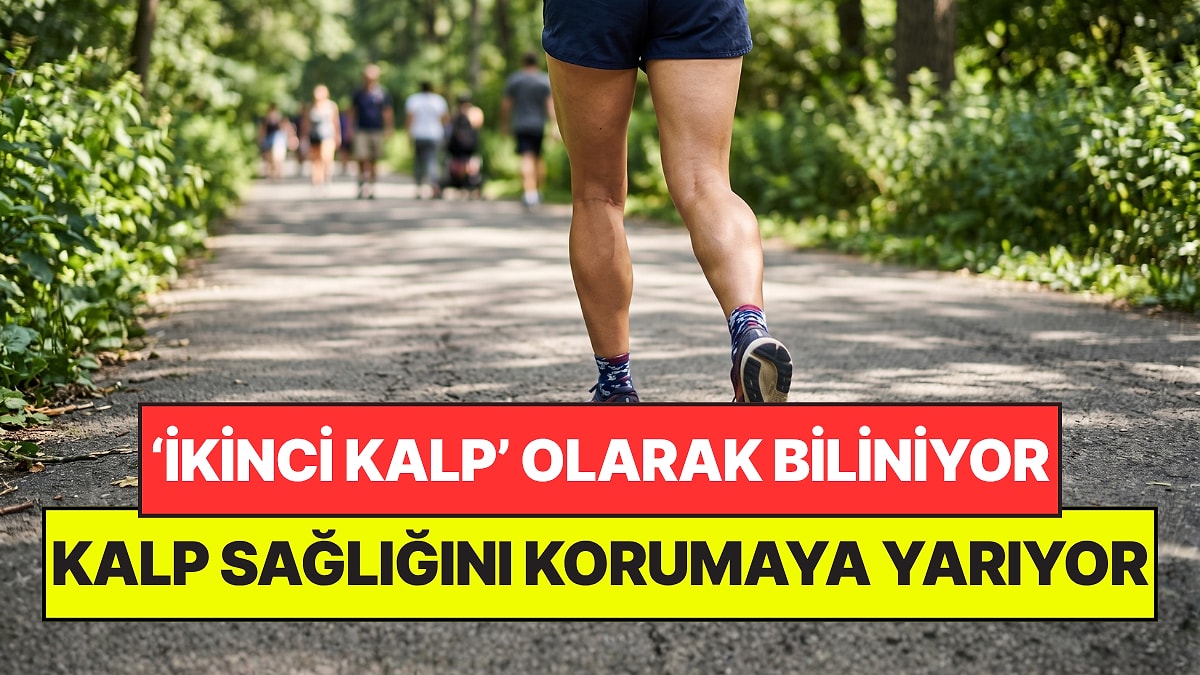 Vücuttaki 'İkinci Kalp' Olarak Biliniyor: Evden Kalp Sağlığını Korumanın En Basit Yolu Oldu!