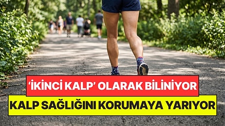 Vücuttaki 'İkinci Kalp' Olarak Biliniyor: Evden Kalp Sağlığını Korumanın En Basit Yolu Oldu!