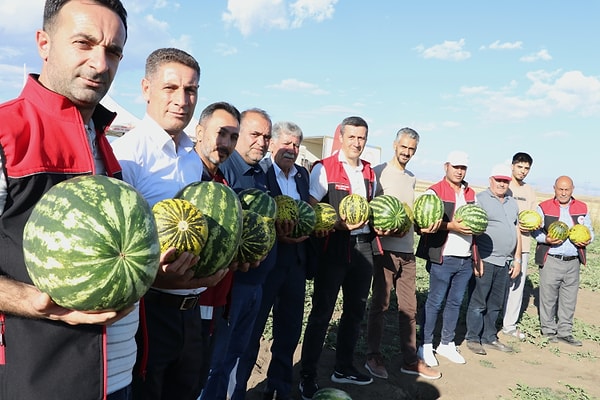 Üretici Doğan Kaya Zorlu Yaz Mesaisinin Ardından 120 Tonluk Rekolte Hedefliyor