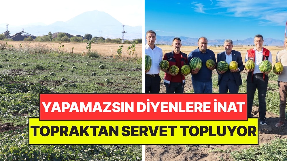 Yapamazsın Diyenlere İnat Başardı: Şimdi Her Sezon Topraktan Servet Topluyor