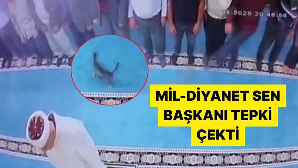 Erzurum'da Camide Kediye Tekme Atılmasının Ardından Gelen Açıklama Tepki Çekti