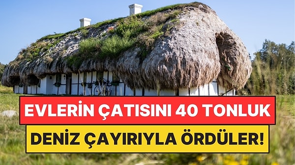 Evleri Gemi Enkazından, Çatıları Deniz Çayırından Yaptılar