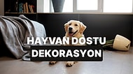 Evinizi Evcil Hayvan Dostu Bir Şekilde Nasıl Dekore Edebilirsiniz?