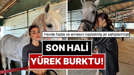 Hande Erçel Çok Sevdiği Atı İki Kardeş’e Veda Etti: Son Görüntüsü Yürek Burktu!