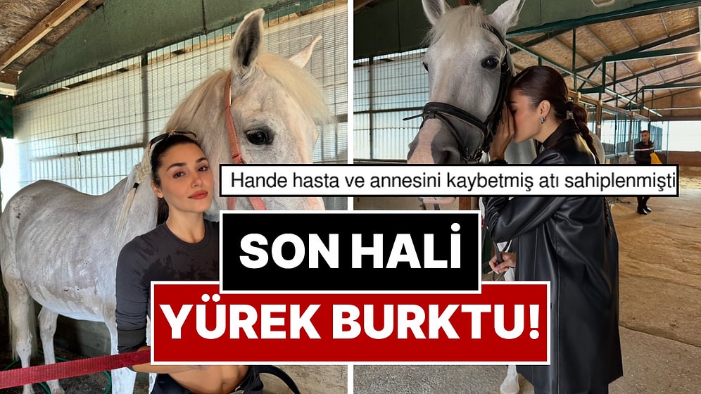 Hande Erçel Çok Sevdiği Atı İki Kardeş’e Veda Etti: Son Görüntüsü Yürek Burktu!