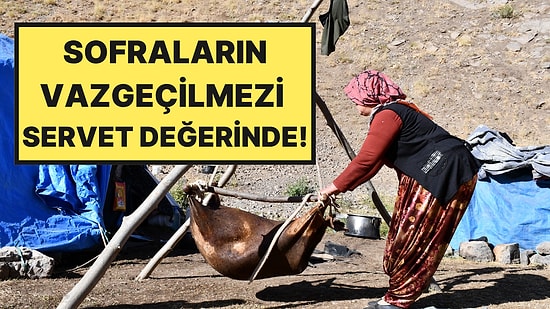 Şırnak’ta Yaylalarda Üretiliyor: Kahvaltı Sofralarının Vazgeçilmezi Çeyrek Altınla Yarışıyor