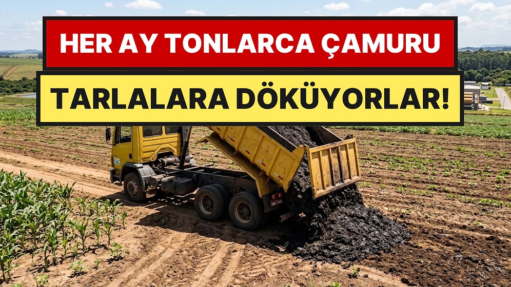Her Ay Kanalizasyondan Çıkan Binlerce Ton Çamuru Tarlalara Dökmeye Başladılar