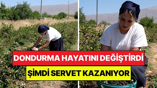 Yediği Dondurma Hayatını Değiştirdi: Genç Çiftçinin Servet Kazandıran Tarlası Siparişlere Yetişmiyor