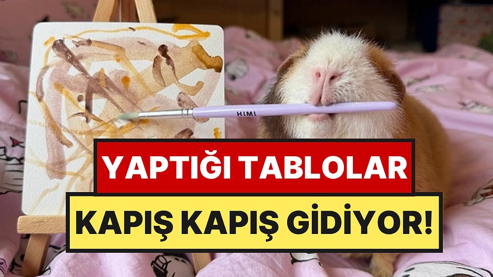 Faresine Yaptırdığı Resimleri 320 TL'ye Satıyor: Dakikalar İçinde Tükeniyor
