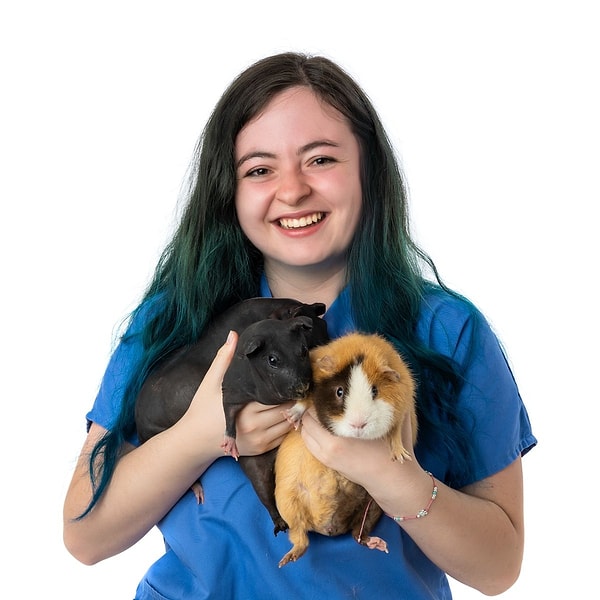 Greenwood, who put the paintings on a platform for sale at 5 pounds (approximately 320 TL) with the aim of making the guinea pig "earn its own pocket money" and bringing a smile to people's faces, was taken aback by the interest she received.