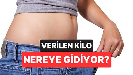 Kilo Verirken Yaktığınız Yağın Büyük Kısmı Nereye Gidiyor?