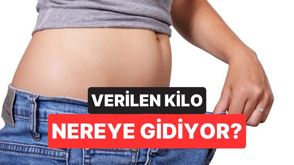 Kilo Verirken Yaktığınız Yağın Büyük Kısmı Nereye Gidiyor?