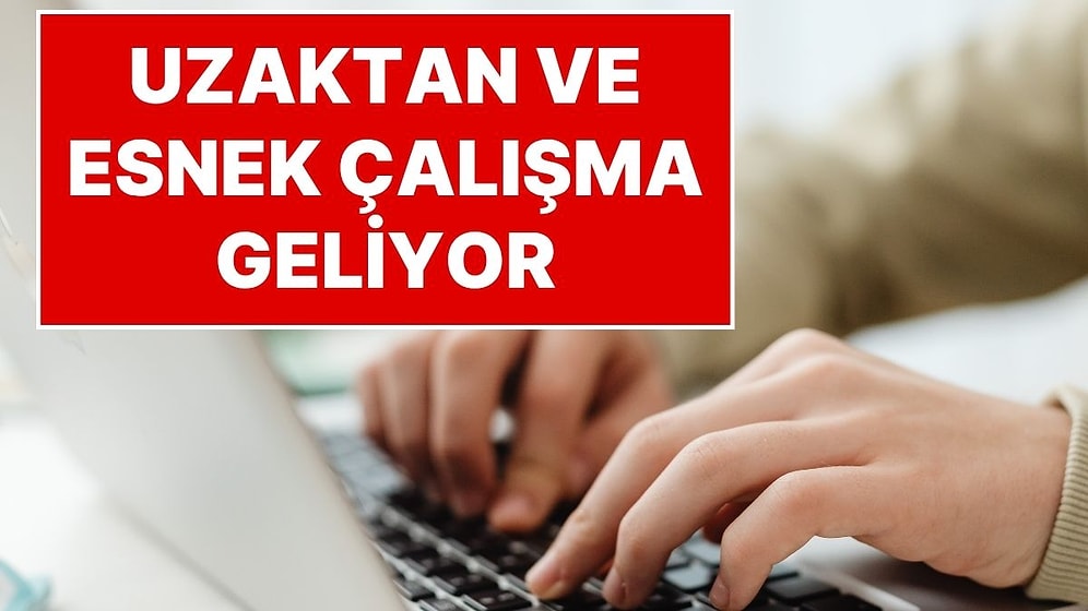 Çalışma Hayatında Yeni Dönem Geliyor: Kreş, Uzaktan Çalışma ve Esnek Mesai İmkanı Sunulacak