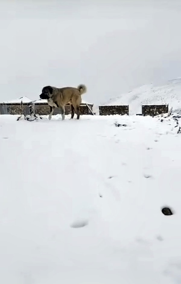 Bölgeye geleceklere uyarı.