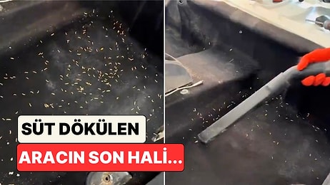 Arabaya Süt Dökülünce Ne Olur? Oto Yıkamacı Gençler Kurtlanan Aracın Son Halini Gösterdi