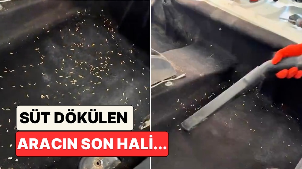 Arabaya Süt Dökülünce Ne Olur? Oto Yıkamacı Gençler Kurtlanan Aracın Son Halini Gösterdi