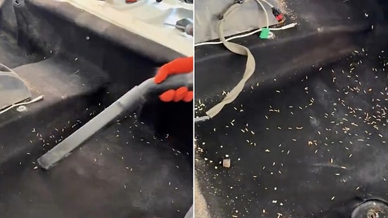 What Happens When Milk Spills in a Car? Detailers Show Maggot-Infested Vehicle's Fix