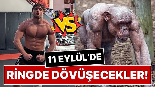 Profesyonel Dövüşçü Cole Johnson, Şempanzeye Karşı Ringe Çıkacak: Şaka Olarak Başladı, Gerçeğe Dönüştü