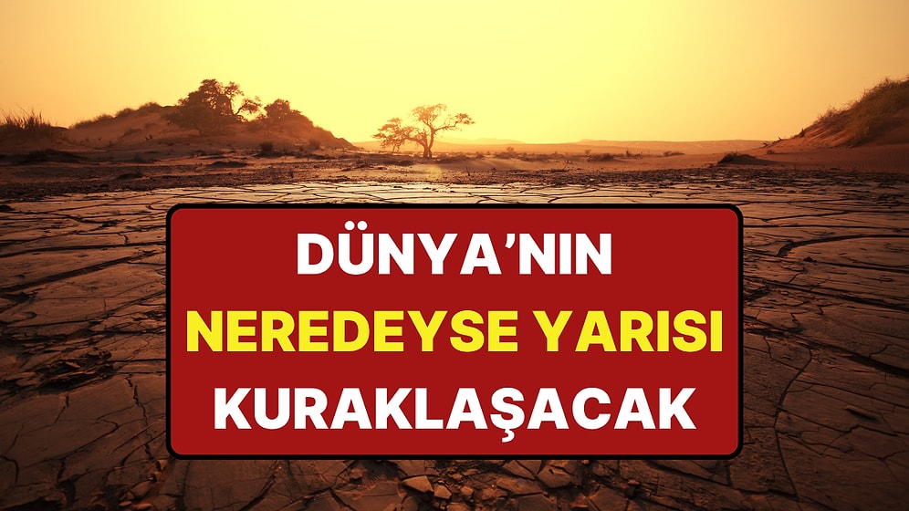 Bilim İnsanları Hesapladı: 2100 Yılında Dünya Nasıl Bir Yer Olacak?
