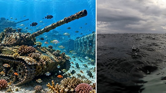 Sunk 25 Tanks and 198 Trucks Into Ocean: The Shocking Marine Transformation 9 Years Later