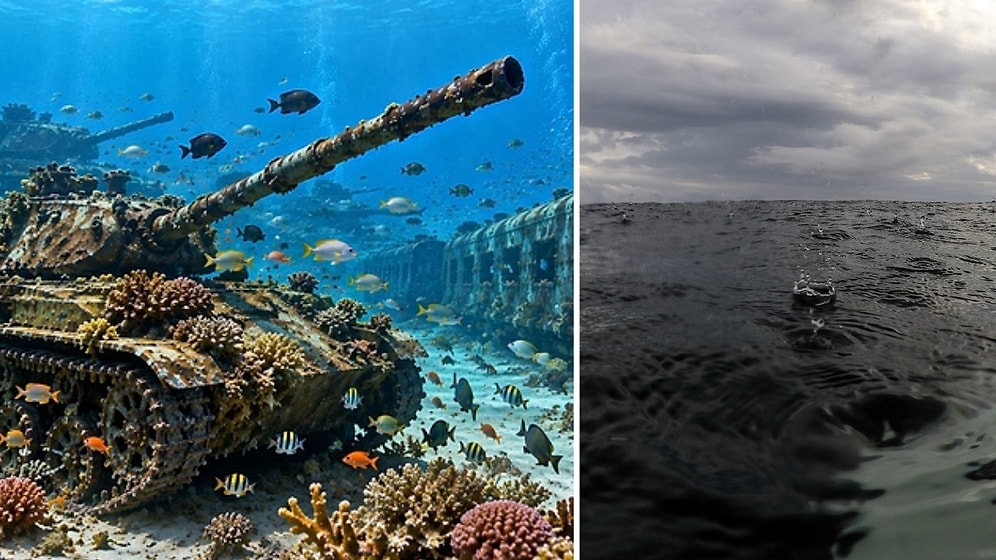 Sunk 25 Tanks and 198 Trucks Into Ocean: The Shocking Marine Transformation 9 Years Later