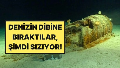 200 Bin Varili Denizin Derinliklerine Bıraktılar: Yıllar Sonra Kötü Haber Geldi