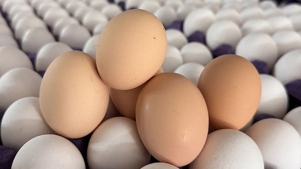 Sciensano'nun son güncellemesiyle salgında dört yeni vaka daha doğrulandı, toplam hasta sayısı 318'e yükseldi.