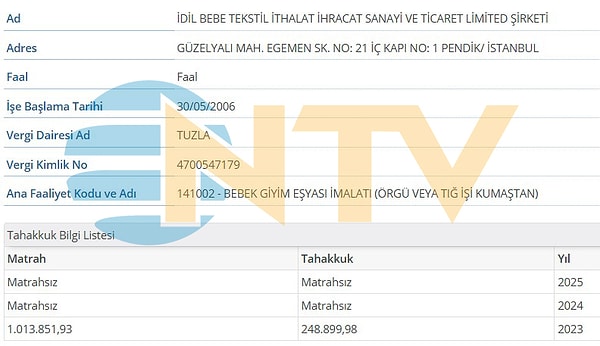 Vergi kayıtları tabloyu özetliyor: Her iki şirket de 2024 ve 2025'te matrahsız görünüyor.