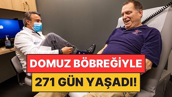 Domuz Böbreğiyle 271 Gün Yaşadı: Ardından İnsan Böbreği Nakledildi!