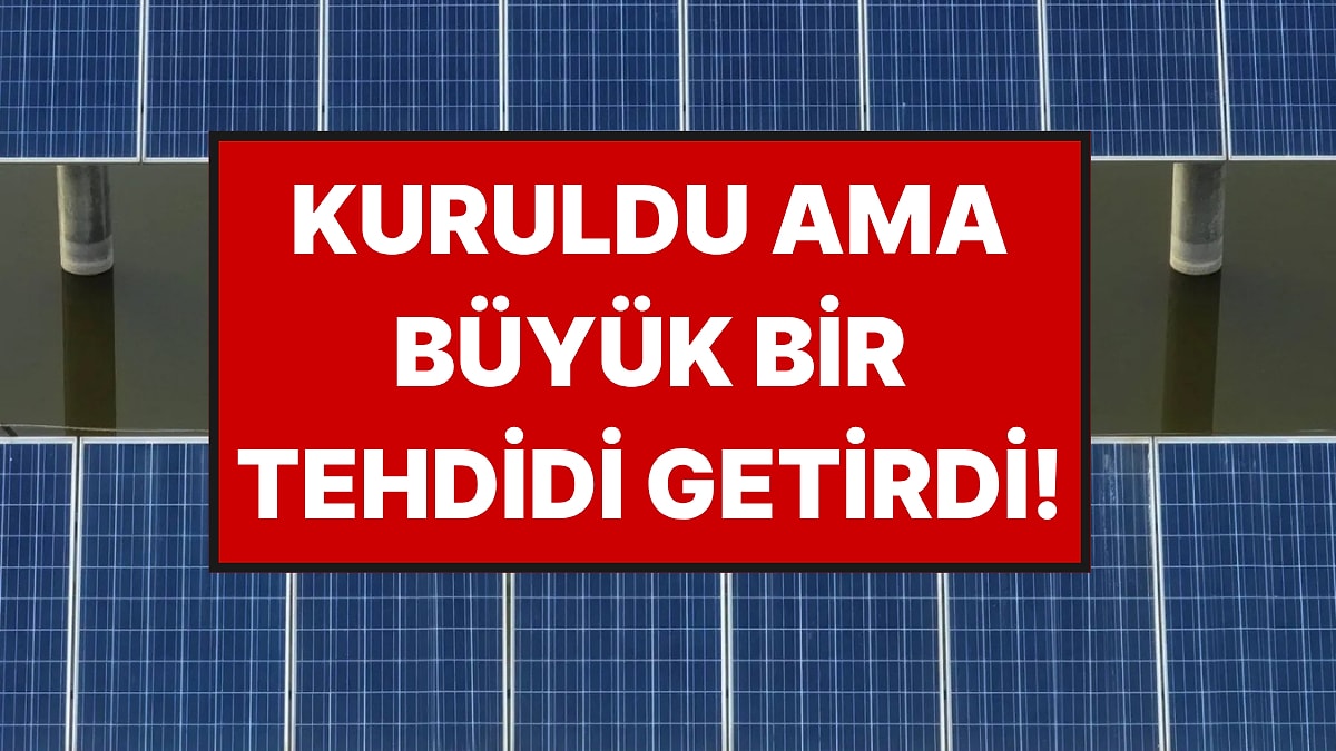 Kurulan Güneş Panelleri Büyük Bir Tehdidi Beraberinde Getirdi