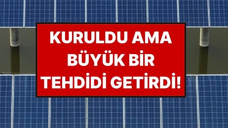 Kurulan Güneş Panelleri Büyük Bir Tehdidi Beraberinde Getirdi