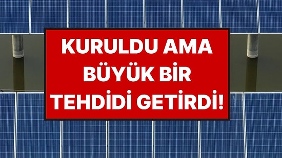 Kurulan Güneş Panelleri Büyük Bir Tehdidi Beraberinde Getirdi