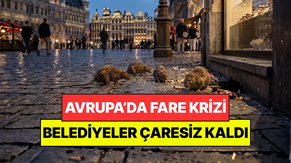 Avrupa'nın Gözde Şehrini Fareler İstila Etti: Belediye 'Seferberlik' İlan Etti