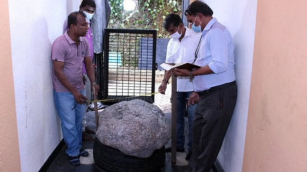 Mr. Gamage, a third-generation jeweler who stumbled upon a colossal treasure in his backyard, stated that the process of officially analyzing, authorizing, and cleaning the discovered stone, which was initially brought to his attention by a well digger, took more than a year.