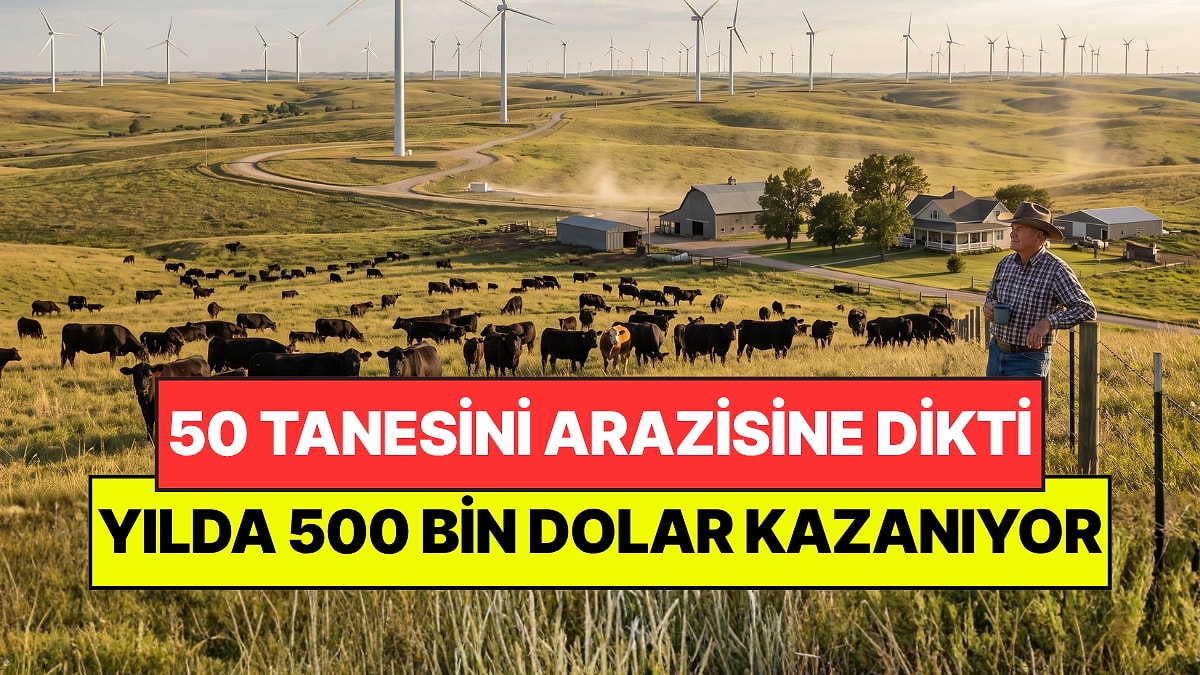 Sığırlarının Olduğu Araziye 50 Tane Kurdurdu: Yılda 500 Bin Dolar Kazanıyor