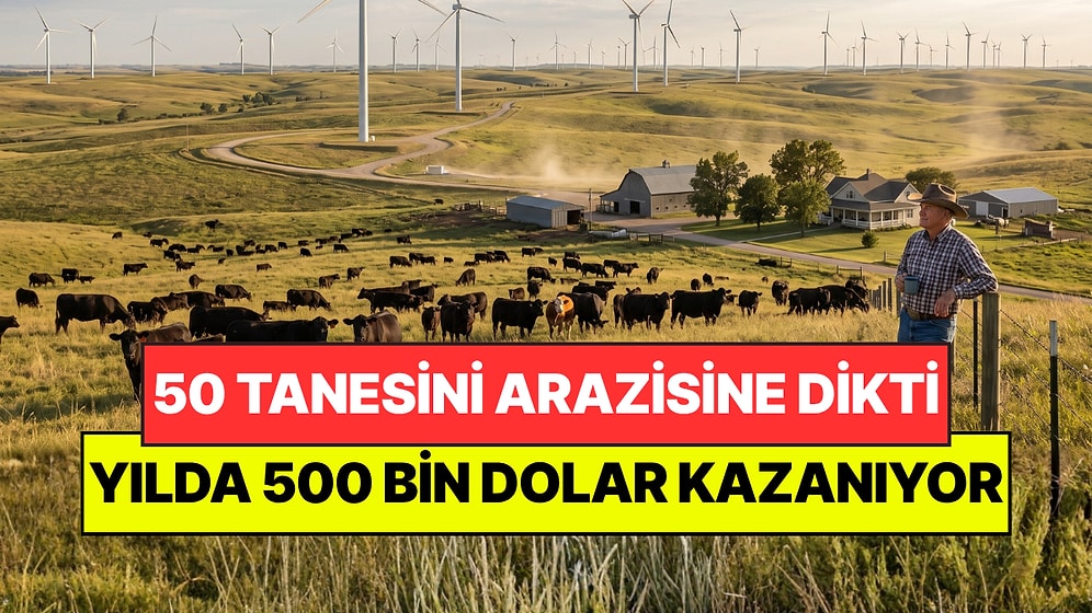 Sığırlarının Olduğu Araziye 50 Tane Kurdurdu: Yılda 500 Bin Dolar Kazanıyor