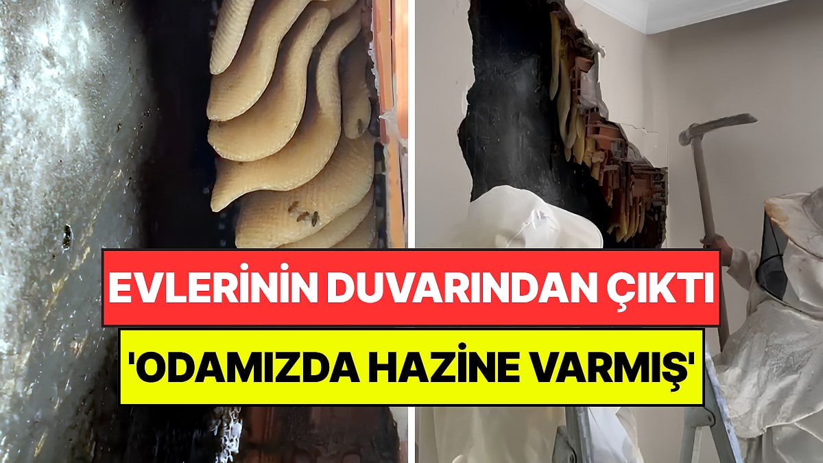 Evlerinin Duvarını Kırdıklarında Gözlerine İnanamadılar: 'Odamızda Hazine Varmış'