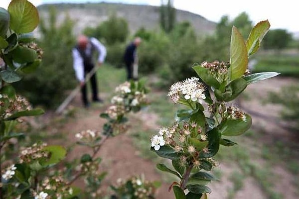 Yerel Yöneticiler Tarım ve Turizm Entegrasyonunun Önemini Vurguluyor