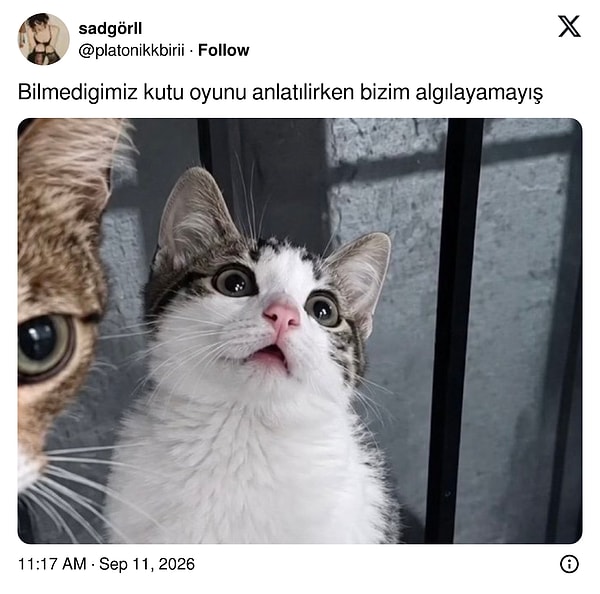 "Bir başlayalım da öğrenirsin"
