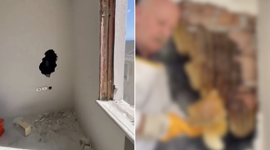 Shocking Discovery in Istanbul: Massive Bee Colony Uncovered Inside Wall During Renovation